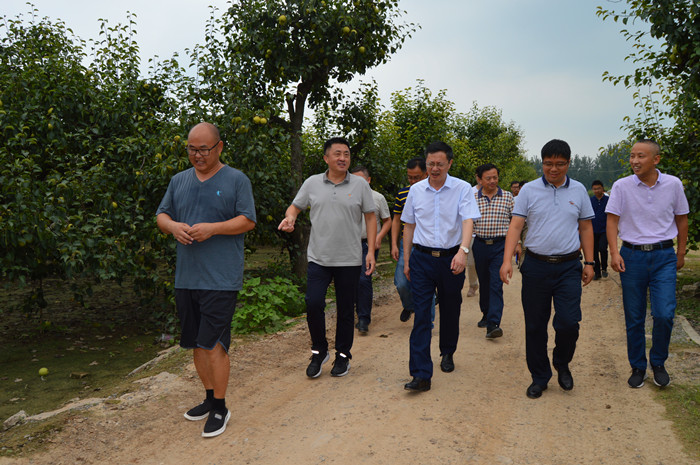 张永群首先来到程庙村党群服务中心,看望了正在程庙